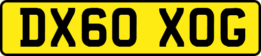 DX60XOG