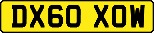 DX60XOW