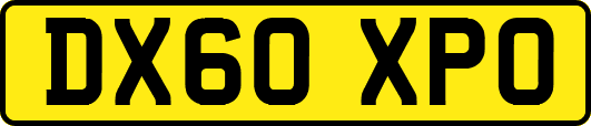 DX60XPO
