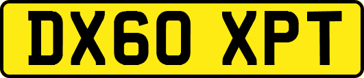DX60XPT
