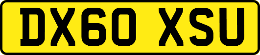 DX60XSU