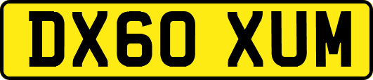 DX60XUM