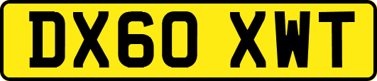 DX60XWT