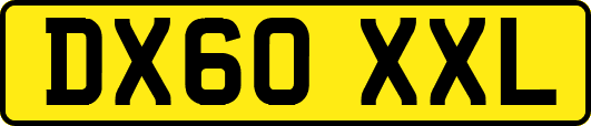 DX60XXL