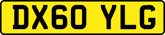 DX60YLG