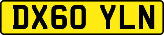 DX60YLN