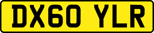 DX60YLR
