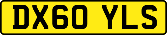 DX60YLS