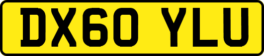 DX60YLU