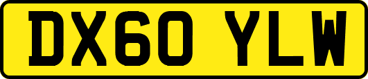 DX60YLW