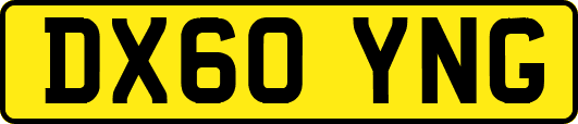 DX60YNG
