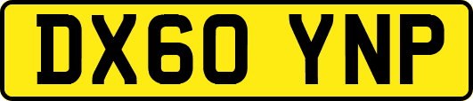 DX60YNP