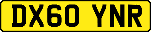DX60YNR