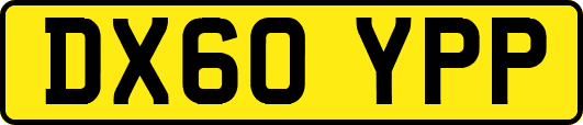 DX60YPP