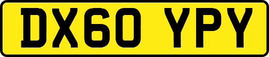 DX60YPY