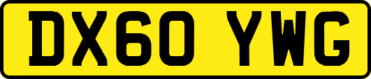 DX60YWG