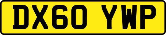 DX60YWP