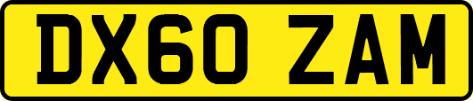 DX60ZAM