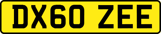 DX60ZEE