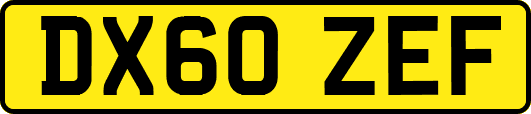 DX60ZEF