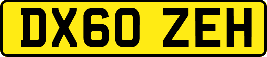 DX60ZEH