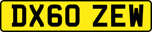 DX60ZEW