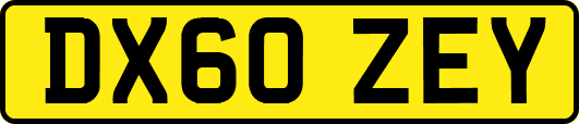 DX60ZEY