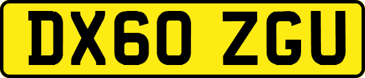 DX60ZGU