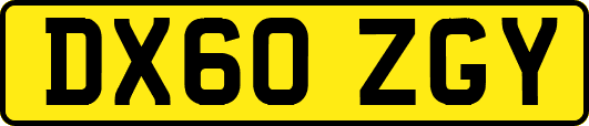 DX60ZGY