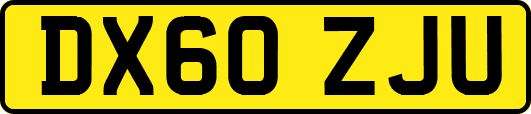 DX60ZJU