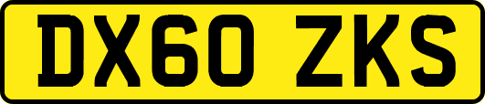 DX60ZKS
