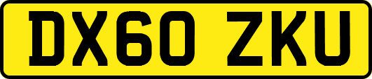 DX60ZKU