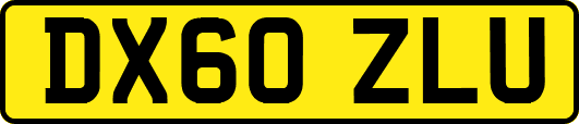 DX60ZLU