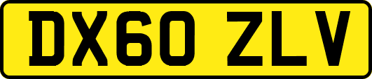 DX60ZLV