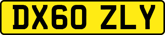 DX60ZLY