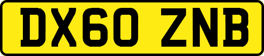 DX60ZNB