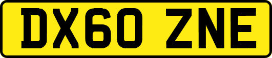 DX60ZNE