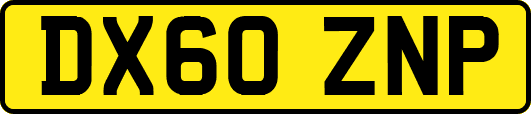 DX60ZNP
