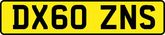 DX60ZNS