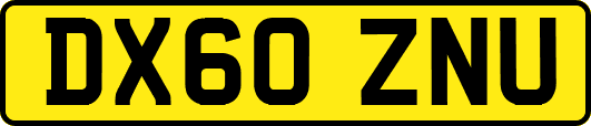 DX60ZNU