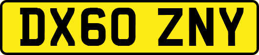DX60ZNY