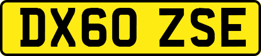 DX60ZSE