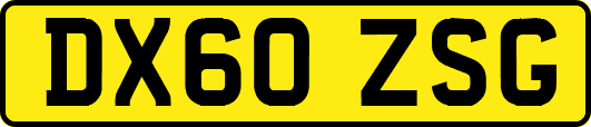 DX60ZSG