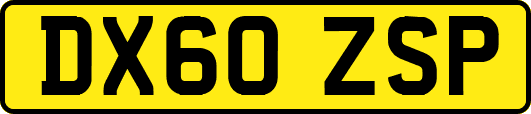 DX60ZSP