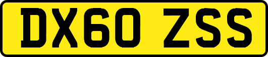 DX60ZSS