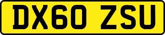 DX60ZSU
