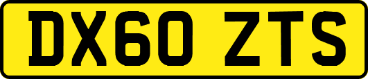DX60ZTS
