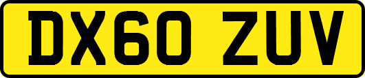 DX60ZUV