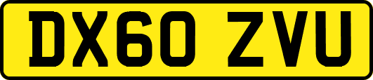 DX60ZVU