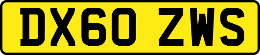 DX60ZWS